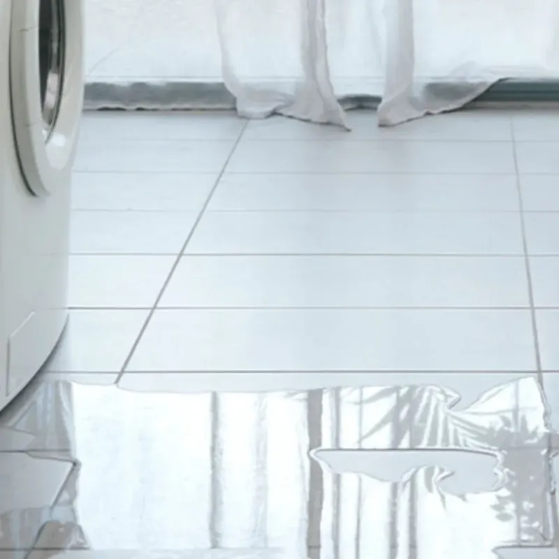 Appliance Leak Cleanup in Palmer, AK